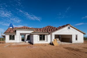 The Iguana House is coming along well!