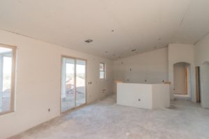 Iguana House Living & Kitchen 9-15-16