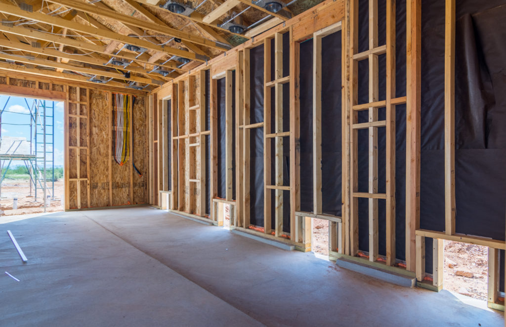 Iguana House Pet Room